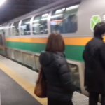 【JR東日本】普通列車グリーン車で途中下車できる「バグ」か？　のんびりホリデーSuicaパスが関連？