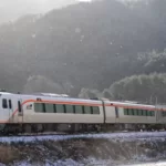 【新型特急】HC85系D1編成が高山本線で初の本線試運転　電車扱いで非電化区間を走る