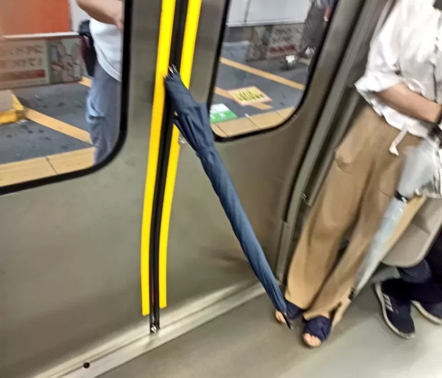 【傘をドアに挟まないで！】武蔵野線北朝霞駅で駆け込み乗車による遅延・トラブルが発生　ケガや事故死の可能性も