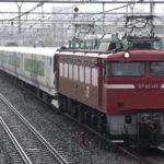 【レア編成見納め】E257系1000番台NA-06編成AT入場