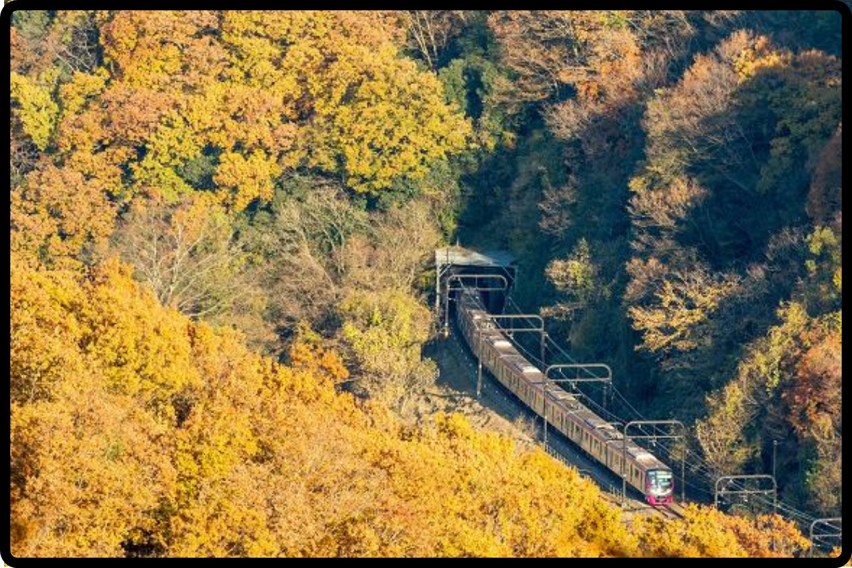 【京王】秋の臨時列車「Mt.TAKAO号」京王ライナー車両・全席指定席で運転　「高尾山トレイン」記念乗車券も発売
