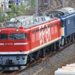 【自走不可】EF64-1031が故障 EF81-95の牽引で長岡へ返却配給