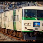 【JR東日本】185系「踊り子」引退へ　「湘南ライナー」は特急化で廃止　2021年3月ダイヤ改正で値上げ・指定席料金に