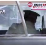 JR日光線で居眠り運転 乗客が動画をマスコミに提供し発覚 運転士｢撮るだけじゃなくて起こして｣