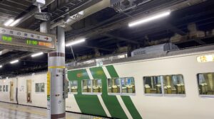 【JR東日本】185系で上野発那須塩原行の臨時快速運転 東北新幹線救済列車
