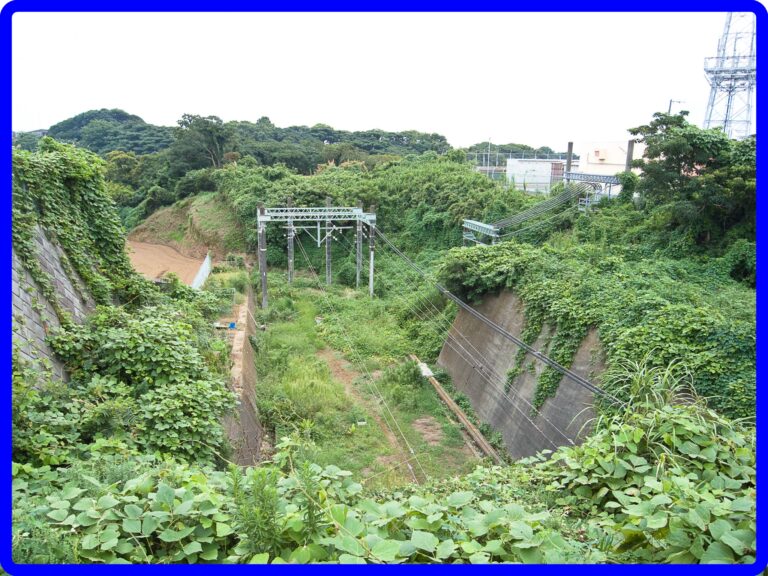 【悲報】京急油壺マリンパーク2021年9月30日で閉館へ | Japan-Railway.com