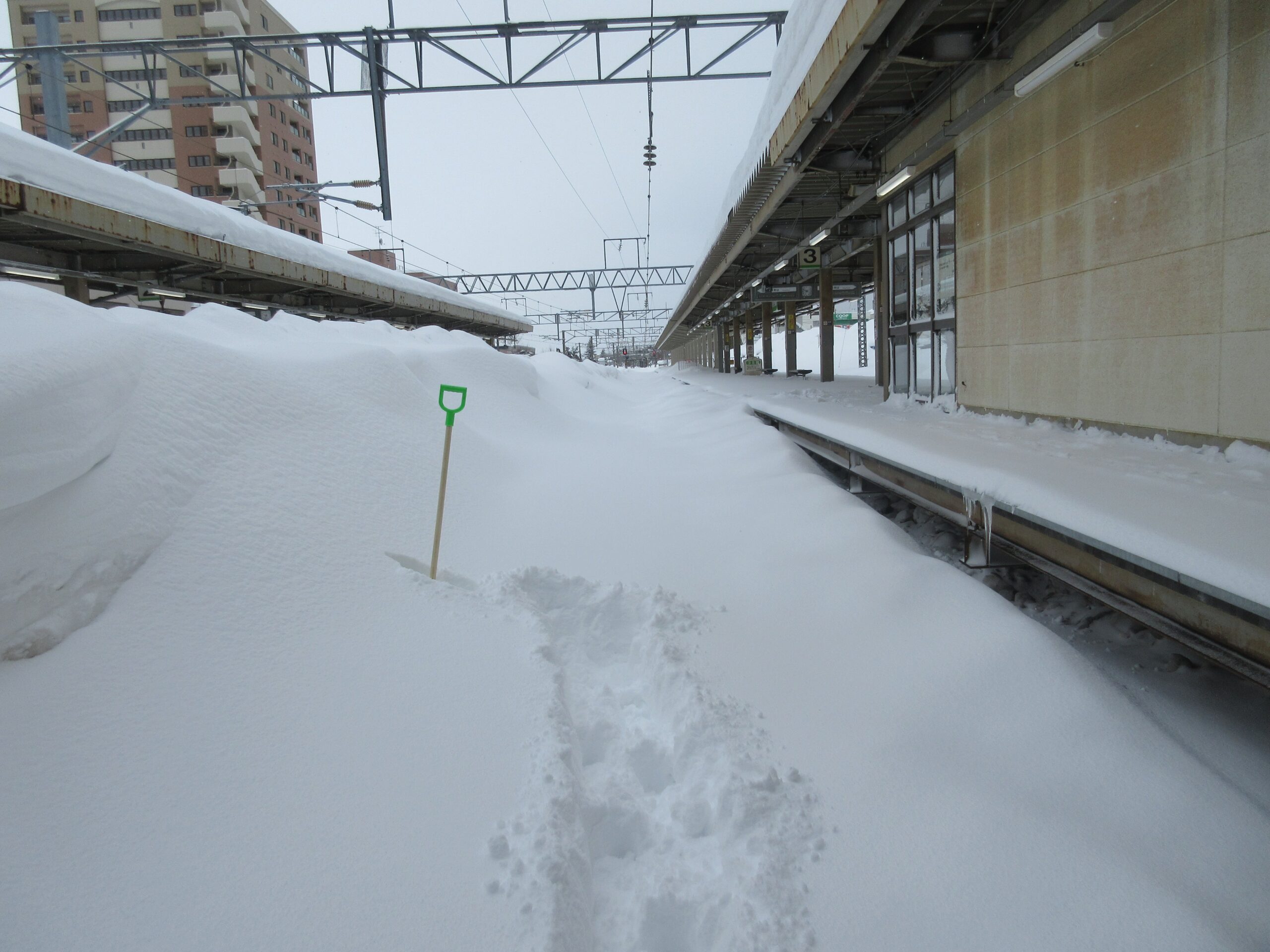 【JR北海道】記録的降雪で運転再開が困難 利用者から批判の声も 運転再開見込みは?