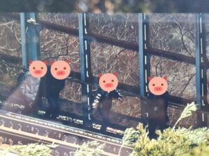 【悪質】鉄道ファンの集団が高架に侵入し線路を歩く 四季島撮影が目的か