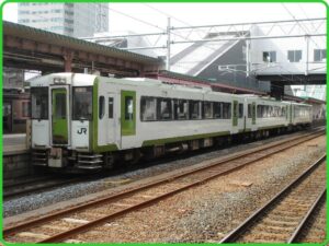 【爆速】東北本線臨時快速列車仙台～盛岡　キハ110系2両による臨時快速列車が運転