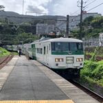 【団体じゃなくても乗れる】JR東日本、2023年秋に185系で運転される臨時列車まとめ