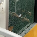 【撮り鉄がやったとの声も】小田急線で多数の列車で投石 窓ガラスが粉々に 運転打ち切りに