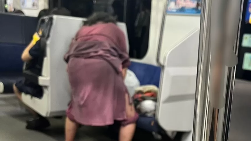 【大惨事】年配女性が東海道線の車内で放尿 持参した容器に... 不正乗車も トイレがある車両なのに一体なぜ