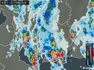 【速報】東海道新幹線、豊橋～三河安城で1時間あたり45ミリの激しい雨 速度を落としたり運転見あわせの可能性